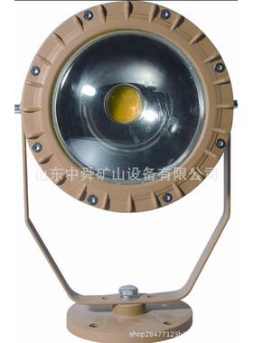 防爆灯DGS60/127B矿用隔爆型泛光灯80W井用加油站LED照明投光灯