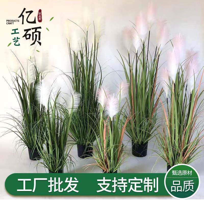仿真植物仿真芦苇狗尾巴草绿植盆栽蒲苇草网红落地家居装饰摆件