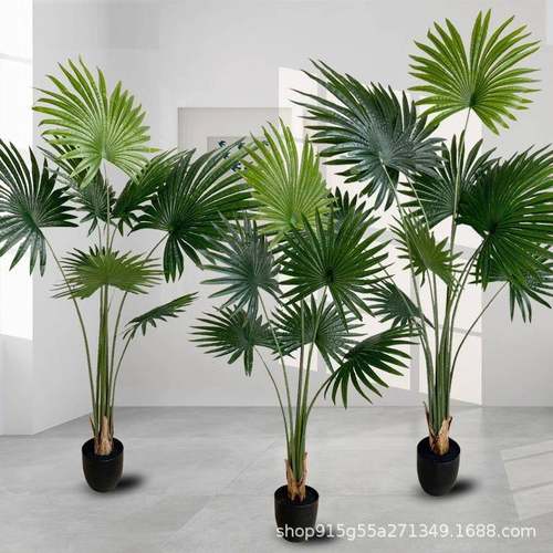 北欧风大型假绿植落地盆栽客厅装饰摆件绿植仿真绿植扇葵