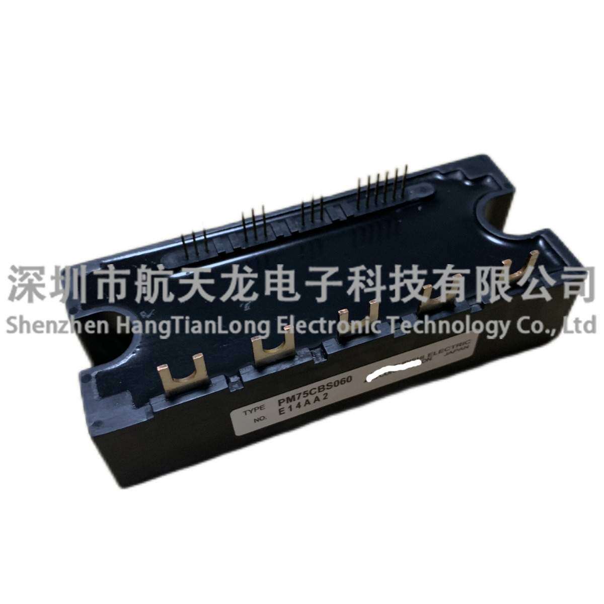 PM75CBS060 PM100CS1E060 PM300CBS060 PM200CBS060 PM100CBS060