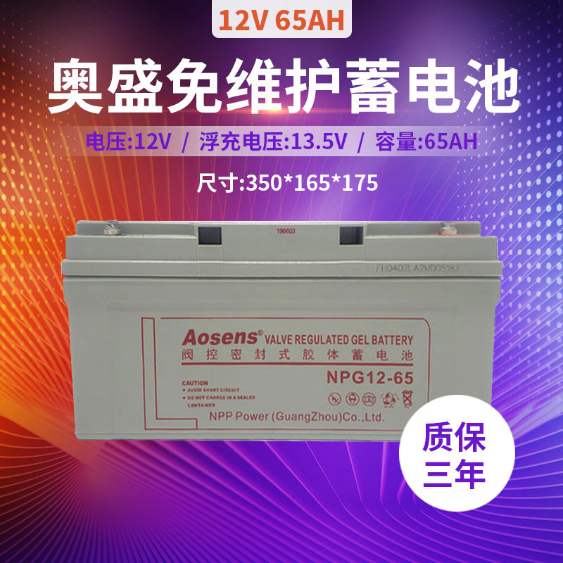 奥盛UPS电源电池12V65AH铅酸蓄电池机房太阳能