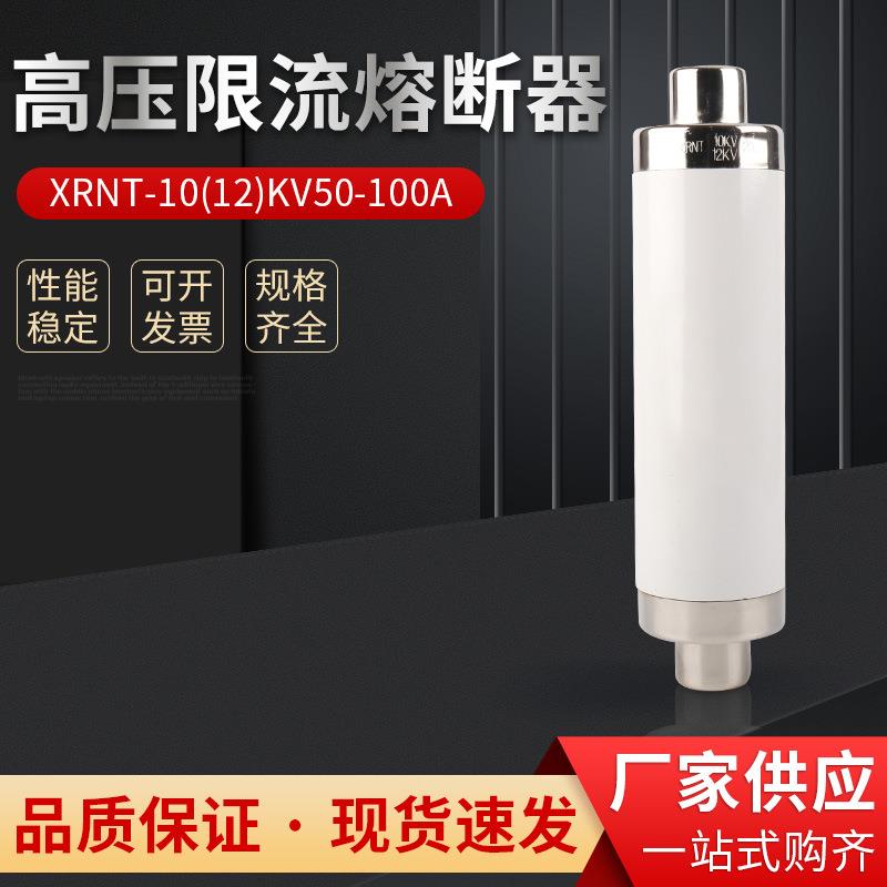 12KV高压高分段限流熔断器XRNT1-10/3.15A10A16A25A40A环网柜熔管