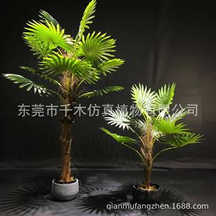 仿真蒲葵盆栽装饰室内外人造假树热带蒲葵树叶植物现货仿真扇葵