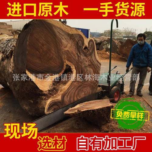 出售琥珀防腐木实木原木办公室会议室原木木料大径琥珀木