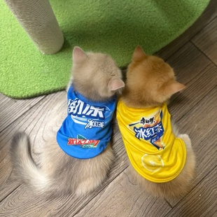 小型犬猫咪宠物衣服搞怪抽象冰红茶劲凉背心夏装薄款透气防掉毛