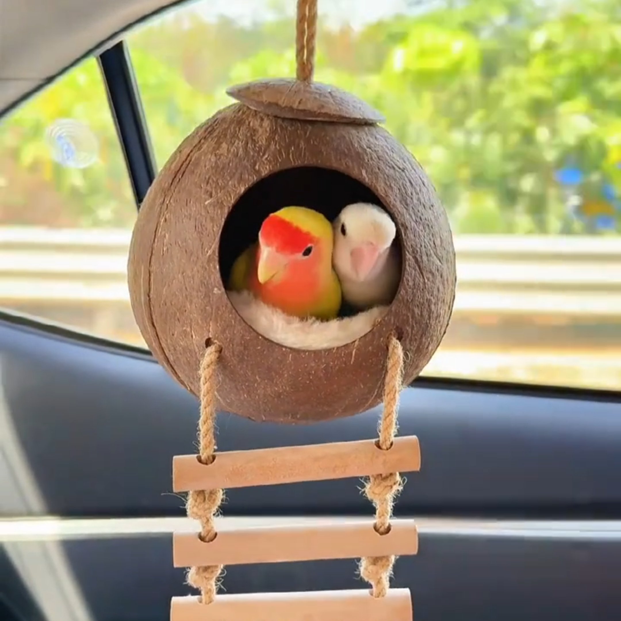 鸟窝鹦鹉窝天然椰壳悬挂式宠物窝耐啃耐咬宠物保暖草编窝虎皮牡丹,宠物/宠物食品及用品,鸟窝,淘宝优惠券,粉丝福利购,淘宝优惠卷