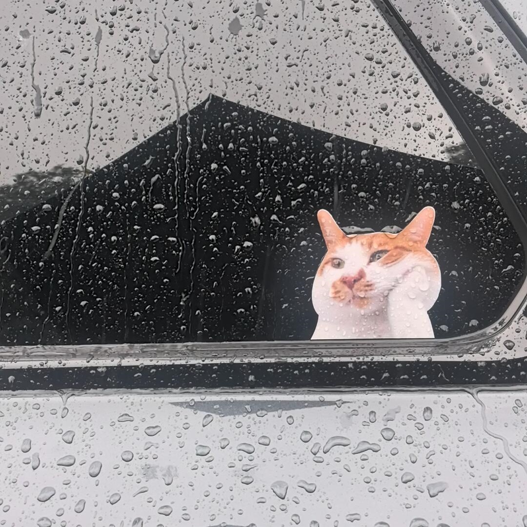 抽象猫咪表情包车贴装饰