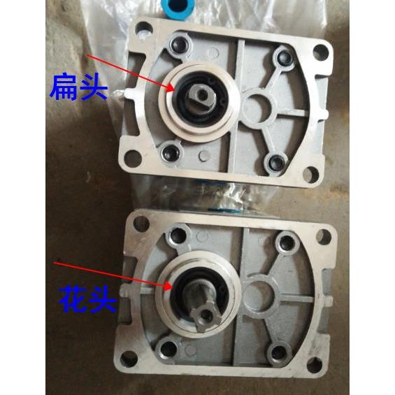 液压油泵齿轮泵CBT-F 306 310 314 316 320 325 左旋右旋花头扁头