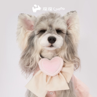 摆摆Wooo领结脖饰颈饰项圈宠物猫狗兔时尚百搭配饰马尔济斯雪纳瑞