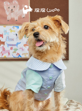 摆摆Wooo「东闻闻西闻闻条纹纹衬衫」蓝绿|宠物秋冬时尚写真家居