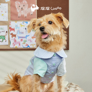 摆摆Wooo「东闻闻西闻闻条纹纹衬衫」蓝绿|宠物秋冬时尚写真家居