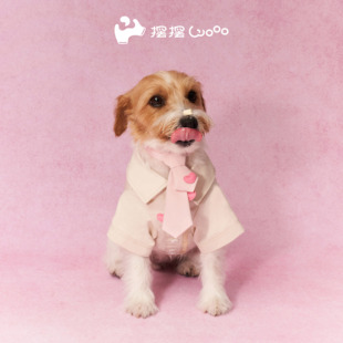 摆摆Wooo领带脖饰颈饰项圈宠物猫狗兔时尚人宠配饰马尔济斯雪纳瑞