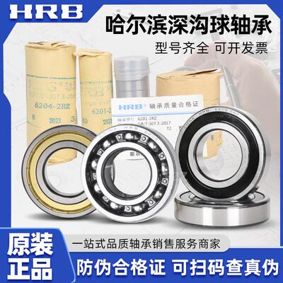 HRB 哈尔滨轴承 6300 6301 6302 6303 6304 6305 -2Z ZZ 2RZ正品