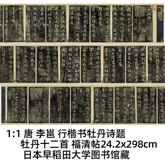 11唐李邕牡丹诗题牡丹十二首
