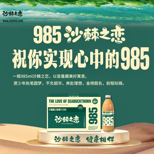 沙棘之恋木糖醇沙棘果粒饮料985ml*4瓶/提