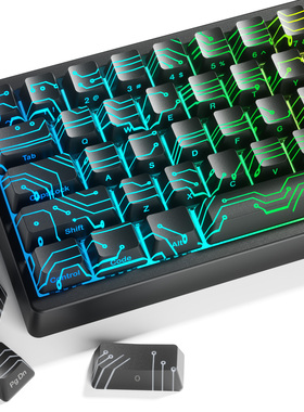 xvx 电子视界2.0键帽图案侧刻透光IMD客制化机械键盘帽wooting