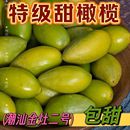潮汕金灶特产青橄榄果现摘新鲜二号甜种橄榄生吃零食青果无渣脆甜