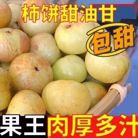 潮汕普宁甜种冰糖甜油甘新鲜余甘子果鲜橄榄水果零食生吃甜橄榄