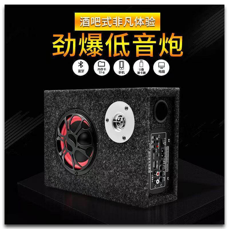 5寸蓝牙户外音箱220v/12v通用