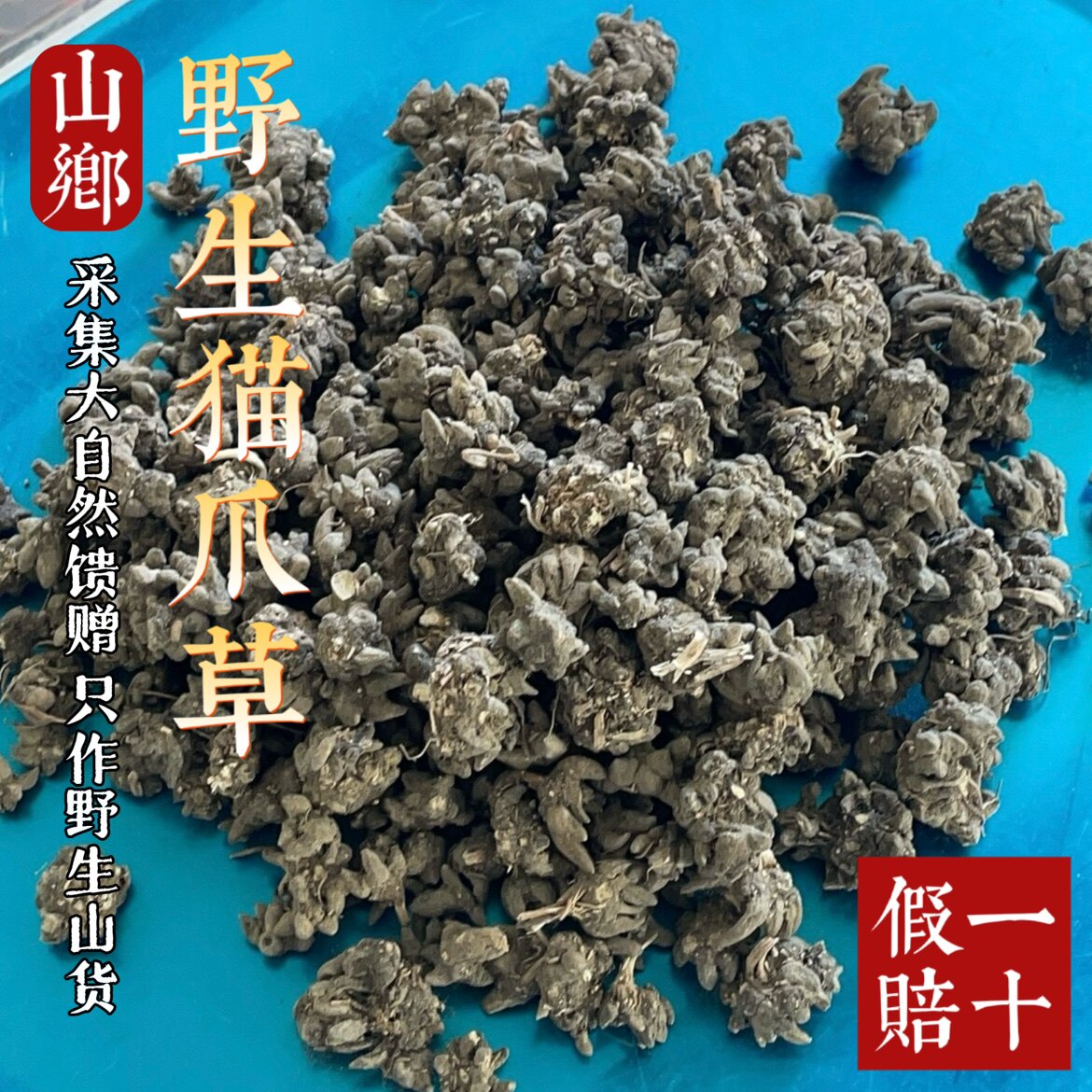 山乡药域野生猫爪草纯野生