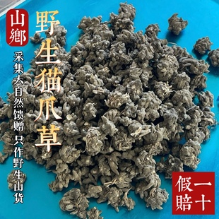 山乡药域 野生猫爪草纯野生农家烘晒搭夏枯草煮水猫爪草源头直发