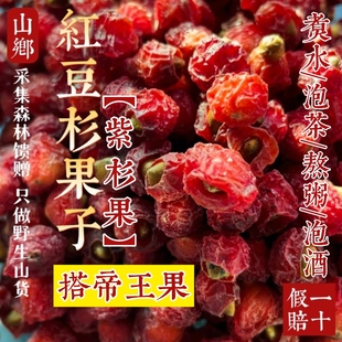 山乡药域 帝王果煮水泡酒红豆杉果子 野生红豆杉果子紫杉果紫杉醇