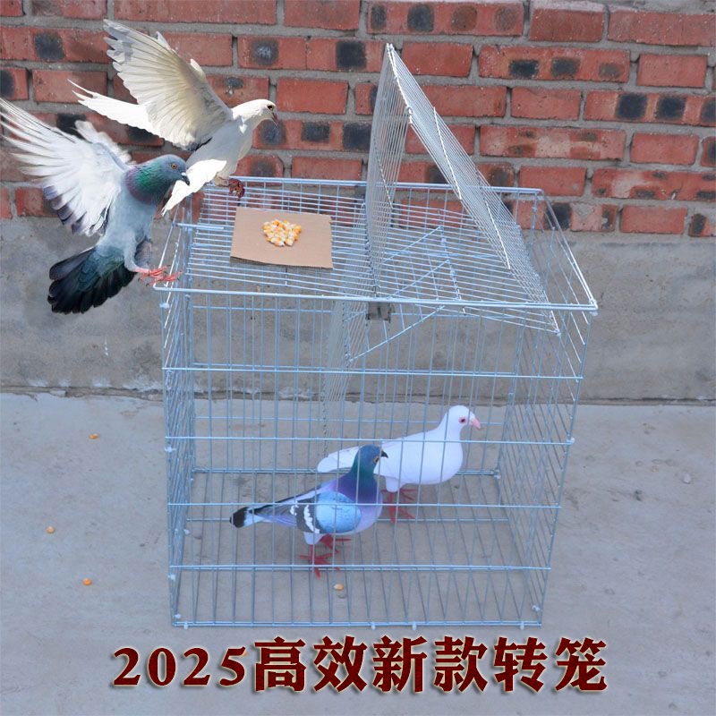 天落笼鸽子笼自动翻转鸽子活络撞门笼鸽子笼镀锌防锈房顶鸽子神器