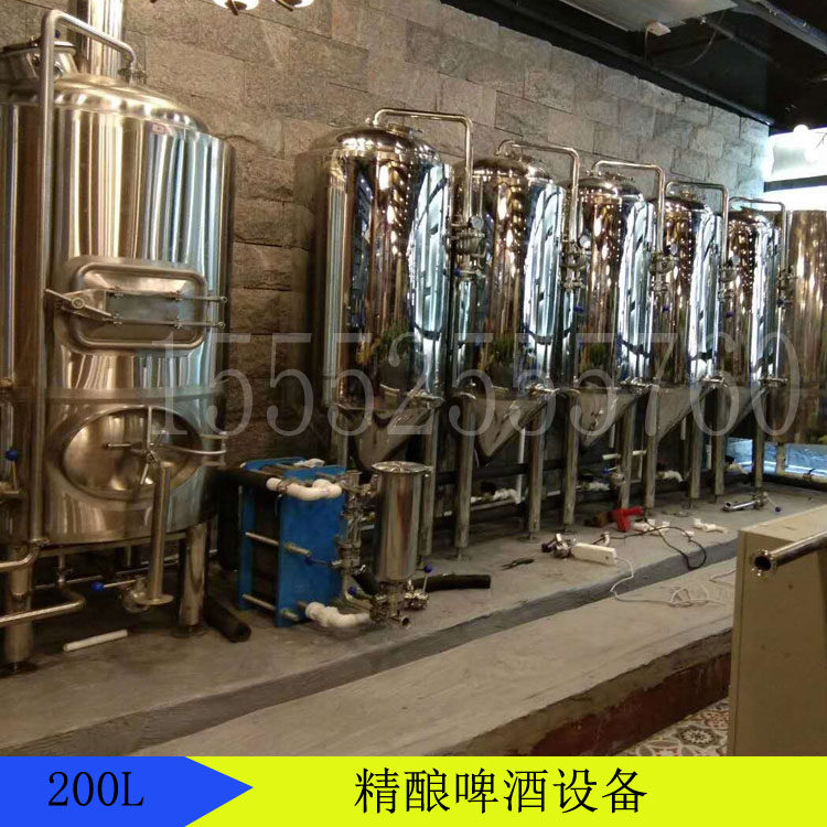 小型200L精酿啤酒设备家用自酿扎啤机商用酿酒设备发酵罐