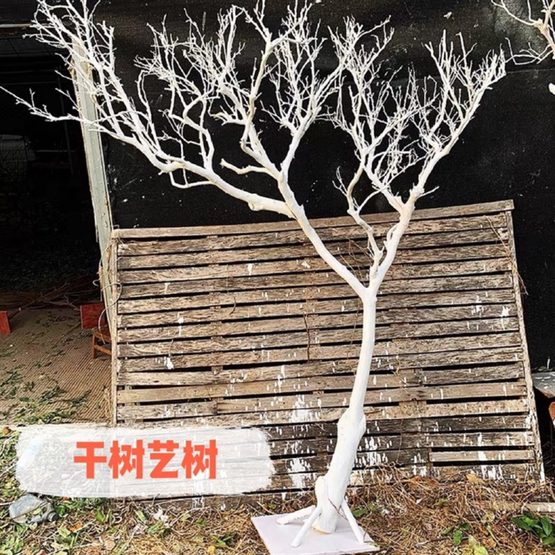 白色干树枝造景干k枝树干许愿树枯树室内造型树枝干原木树枝装饰