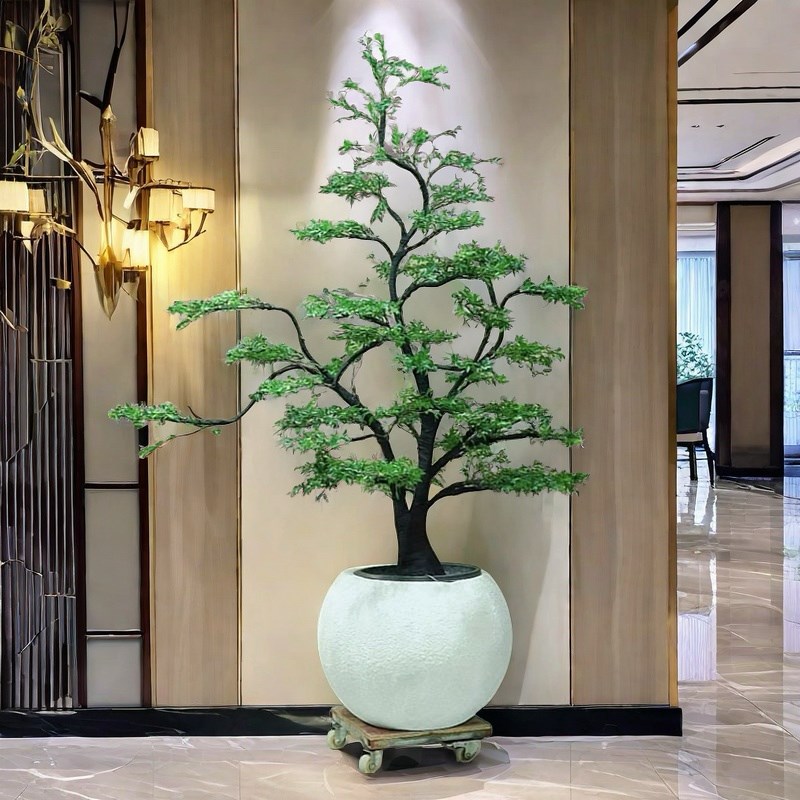 小叶紫檀盆栽高档老桩盆景客厅办公室庭院室内外绿植黑骨茶造型树