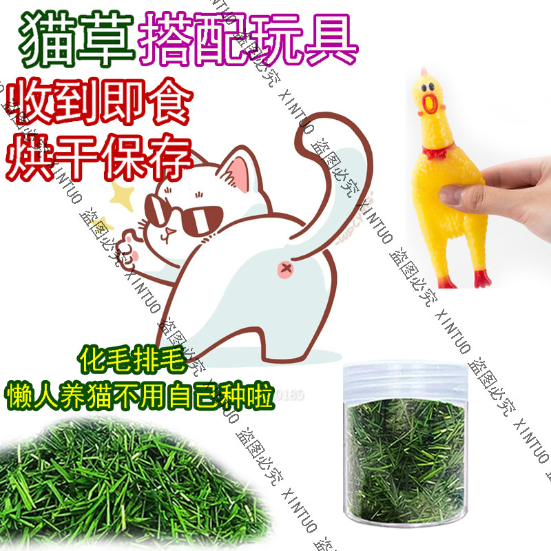 XINTUO烘干猫草干草天然猫咪专用小麦草化毛球发声搞怪尖叫鸡玩具