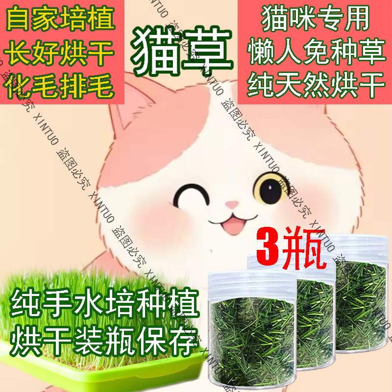 已长好自种猫草烘干猫咪催吐毛球猫草段洁齿水培营养嫩草清口气
