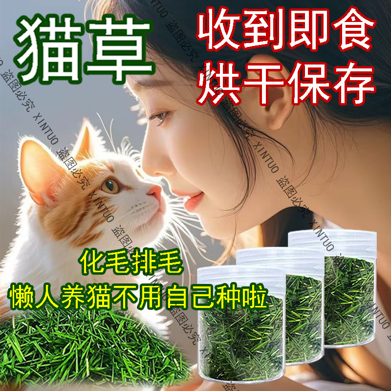 XINTUO自种即食猫咪猫草烘干猫食草化毛球营养草猫草排毛清口气