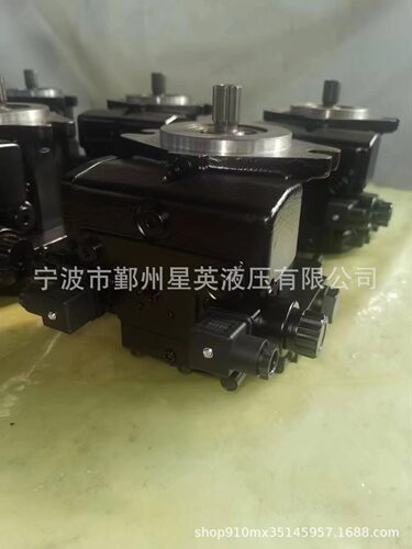 Rexroth A10VG18EP21/10L-NSC16N003E A10VG28 A10VG45液压泵总成