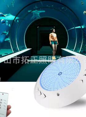 LED全灌胶18W/25W/35WRGB带遥控SMD2835泳池灯