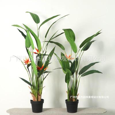 室内造景绿植圣杰园林仿真鹤望兰仿真旅人蕉室外造景简约风绿植