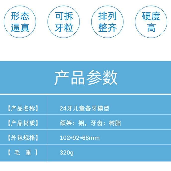 儿童拔牙模型 24颗儿童软牙龈拔牙模型儿童备牙模型