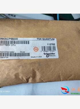 电池 WILPA1360 3v schneider P