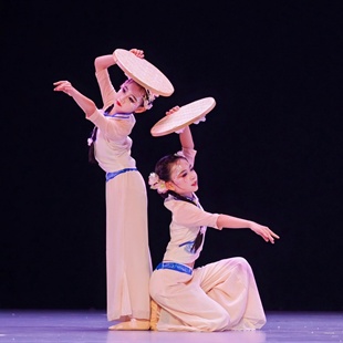 桃李杯古典舞演出服茶花开了舞蹈服道具簸箕茶花开了独舞服装定制