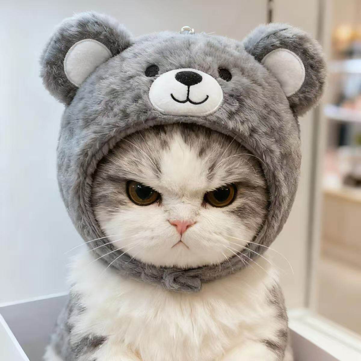 新款猫猫狗狗头套小熊宝宝头宠物玩偶头套毛绒公仔秋冬头套装饰品