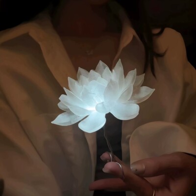 白月光手持悬浮发光莲花灯材料包
