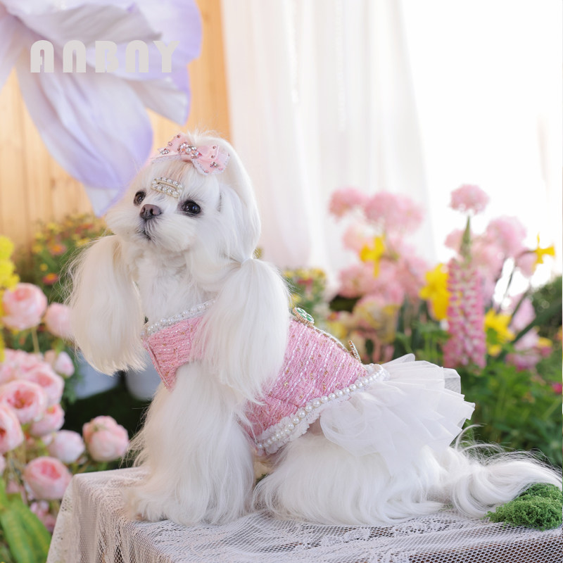 安贝妮宠物衣服狗狗春装小香风连身裙泰迪比熊小型犬公主小狗服装