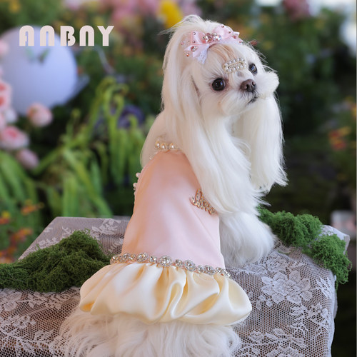 宠物衣服狗狗春装高货连身裙