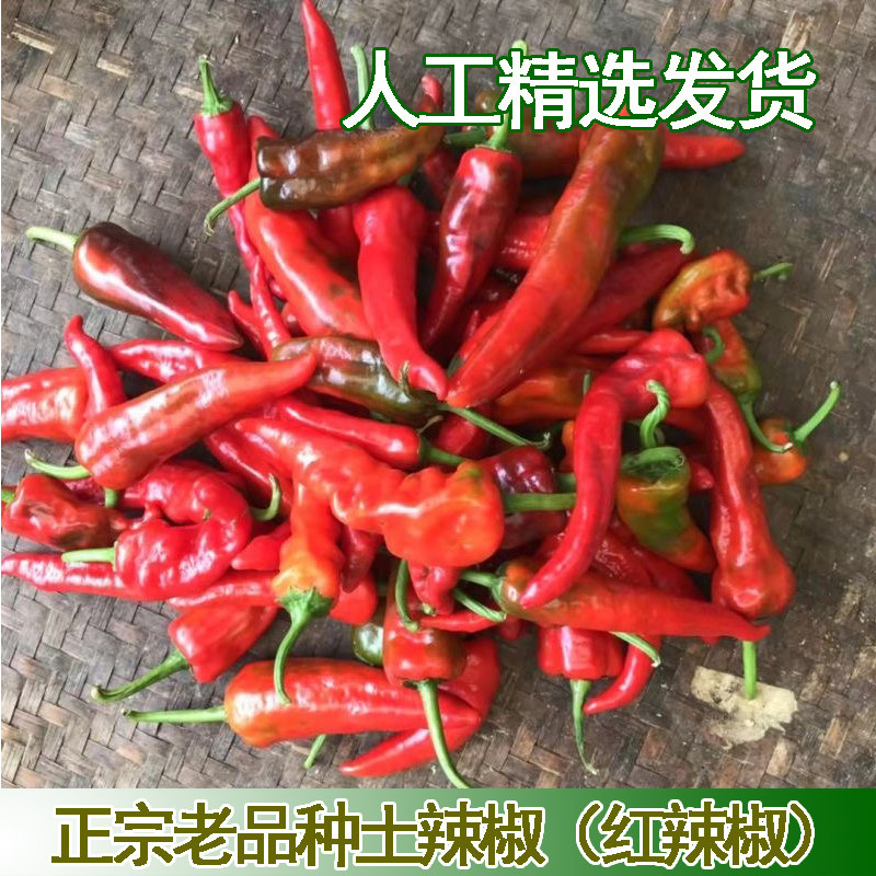 湖北新鲜红辣椒现摘自种土辣椒红辣椒红尖椒腌泡椒剁椒酱农家蔬菜