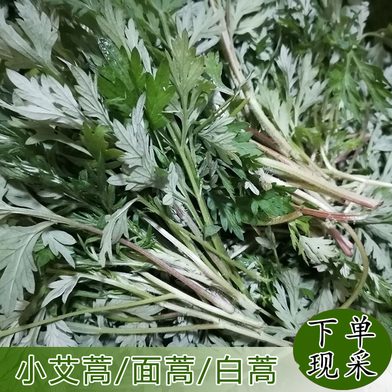 宜昌深山特产面蒿 香蒿 青蒿苦 蒿草蒿子精选新鲜青团菜田间野菜
