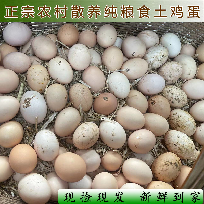 宜昌正宗土鸡蛋散养农家土鸡蛋月子蛋纯粮散养笨鸡蛋保证新鲜,水产肉类/新鲜蔬果/熟食,鸡蛋,淘宝优惠券,粉丝福利购,淘宝优惠卷