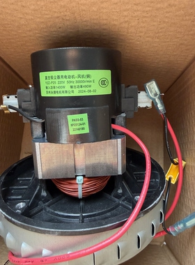 海尔吸尘器 HC-T3143R HC-T3143A HC-T3163 电机 V2Z-P25-L 铜线