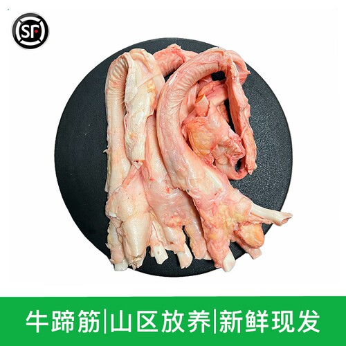干净无毛新鲜牛蹄筋生牛筋商用