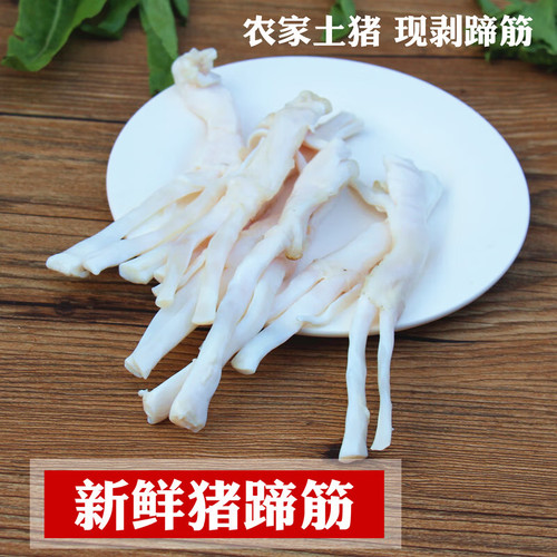 新鲜猪蹄筋生鲜猪脚筋蹄子筋