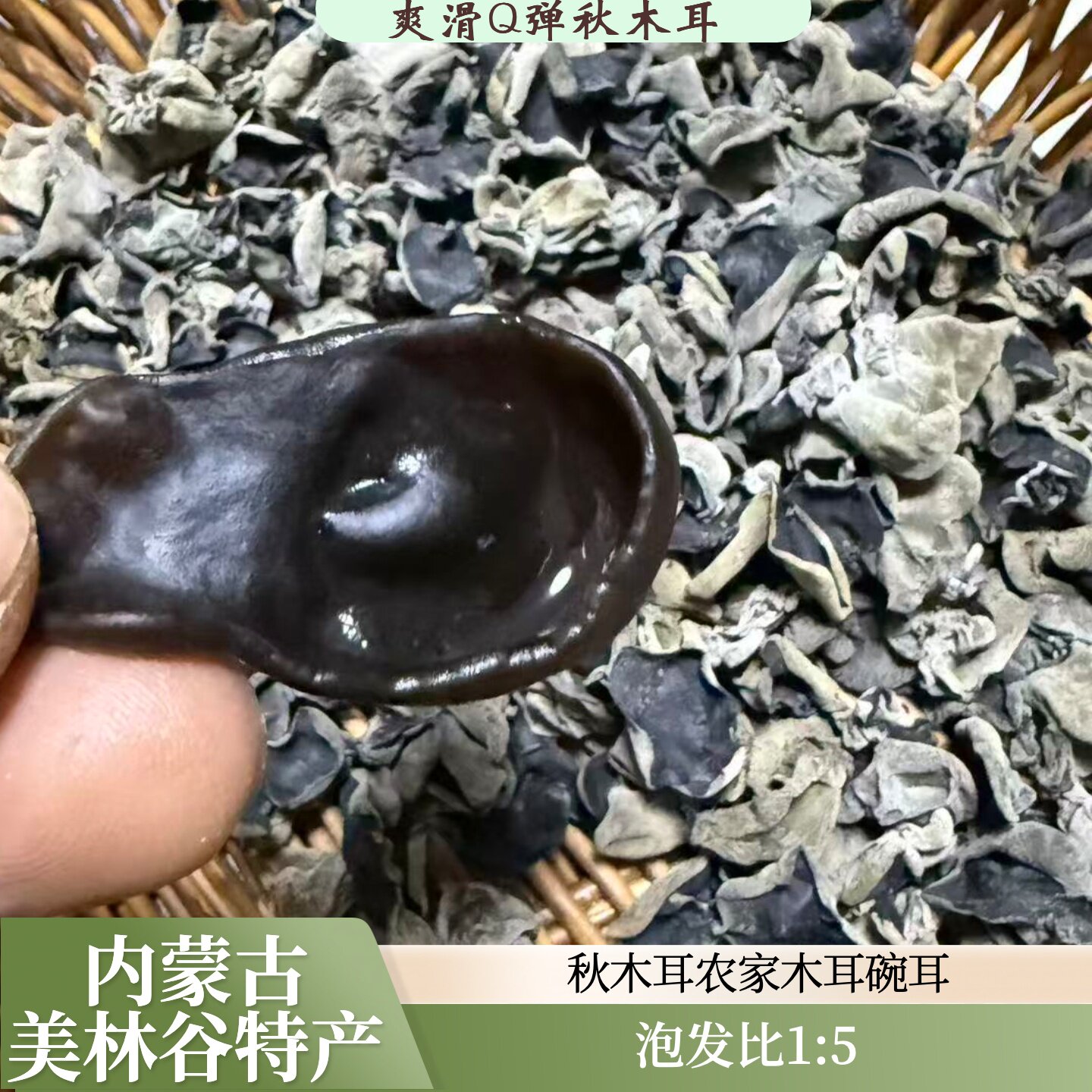 木耳黑木耳秋木耳东北木耳内蒙古木耳自然晾晒不熏硫高品质木耳